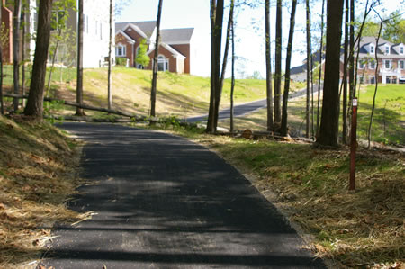 The trail goes through a short wooded section.