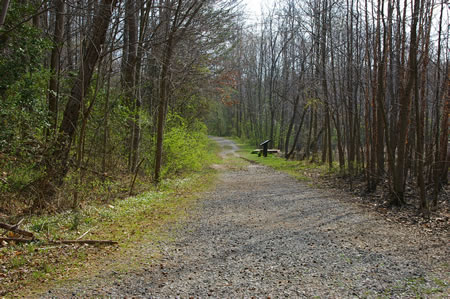 The gravel trail leads to an interesting pond if you would like to wander off the beaten path for a moment.