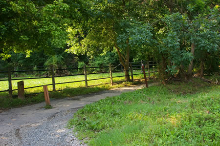 On the other side of the road the trail turns to the right followed by a left turn at the creek.