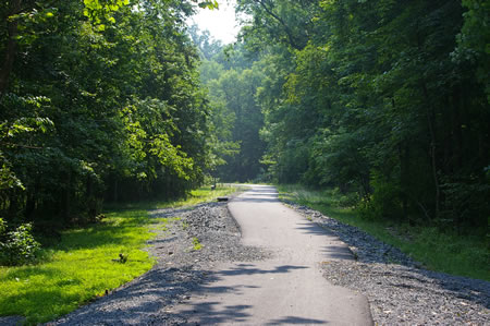 The trail continues along Accotink Creek on the other side. A trail intersects on the left for a connection to King Arthur Rd.