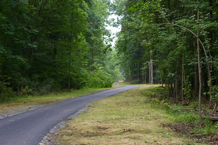 The trail turns right and passes through a wooded area next to the Beltway.