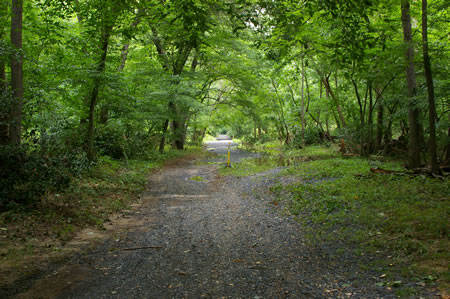 The trail follows Accotink Crrek on the right.