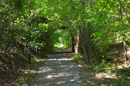 The trail passes under the historic barrel bridge that carries Furnace Road overhead.