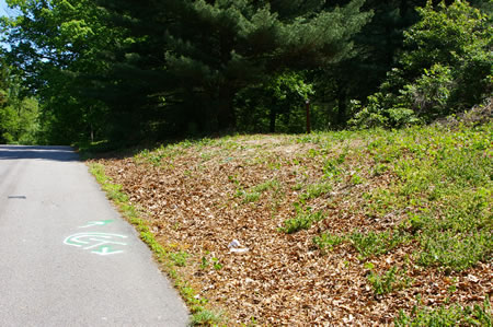 After crossing Lorton Road turn right on the bank to follow the trail up the hill. Do not stay on the road  beyond the first house on the left.