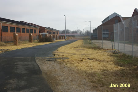 The trail goes between buildings and leads to a brick surface.