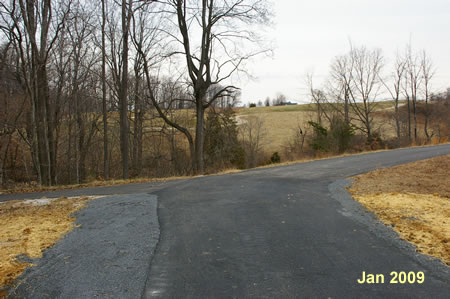 Turn left onto the intersecting trail that leads into the wooded area.