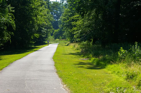 This is the only section of the walk exposed to full sun and only covers a short distance.