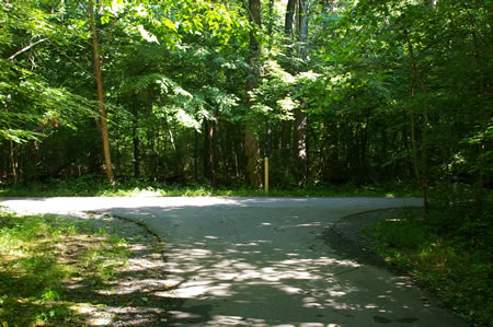 At the intersecting trail turn right.