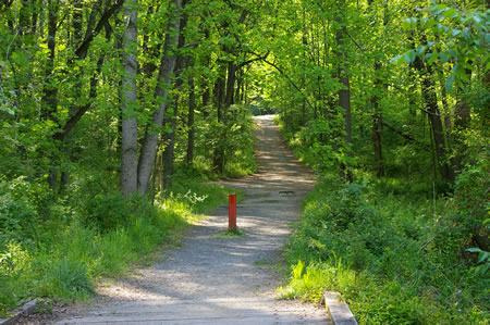 Walk over the bridge and up the hill along the dirt road.