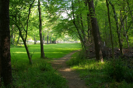 The CCT leaves the woods and enters a mowed area.