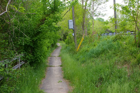 Turn left to follow the asphalt trail along Vale Rd.