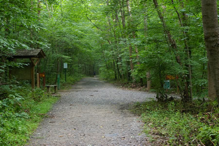 At the next trail intersection go straight if you wish to continue on the Lake Accotink section of the trail.  Otherwise, turn right onto the intersecting trail to complete this section of the trail.