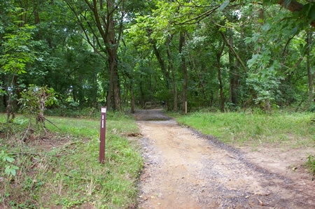 After crossing under Braddock Rd. the trail crosses a side stream.