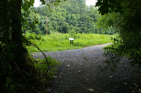 The trail leaves the trees and enters a meadow. A trail intersects from the left. Go straight on the present trail.