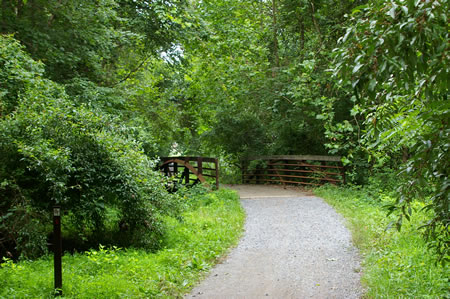 The trail crosses a side stream on a bridge.