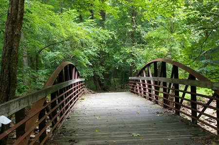 After crossing Accotink Creek the trail turns right.