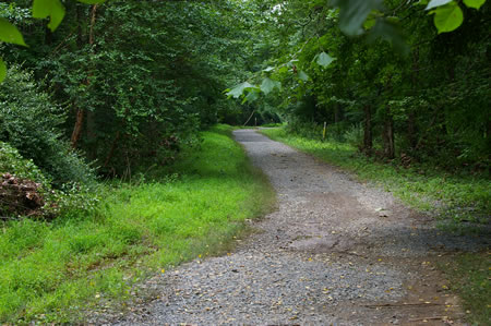 The trail follows Accotink Creek on the right.