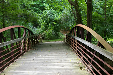 After crossing Accotink Creek the trail turns right. There are numerous bicycle trails intersecting here.