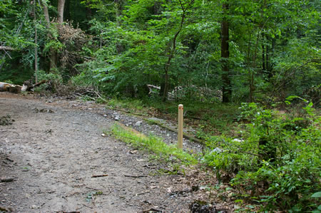 At the next trail intersection the CCT turns right to cross a side creek on columns. Turn right to continue on the next section of the CCT. Turn left to complete this section of the CCT.