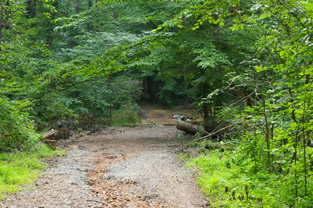 The connecting trail from Mockingbird Dr. to the CCT is quite short.