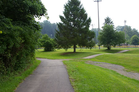 Turn right at the next trail intersection and walk away from the wooded area.