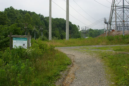 The trail turns left at an intersection with 2 other trails. Take the trail to the left