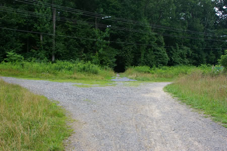 After a short distance the trail splits 3 ways. Take the trail to the right.