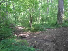 Turn left at the next trail intersection.  There should be a sign there and you will be following the 'Gooseneck Loop'