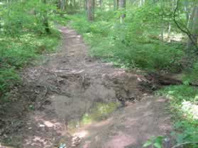 After a short distance the trail crosses a narrow stream.  There is no bridge here.