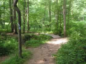 At the bottom of the hill a trail intersects on the right.  Turn left to cross the bridge.