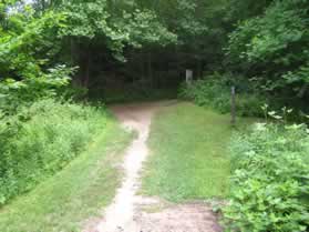 The trail comes to a trail intersection with a map.  Turn left to follow the trail along the stream.  You previously walked this section of trail in the other direction.