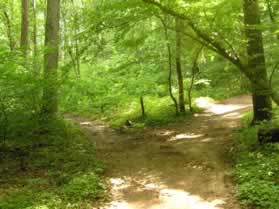 A trail intersects from the right.  Turn right and follow the trail up the hill.