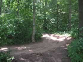 The trail joins a dirt service road from the left.  Continue straight on the service road.