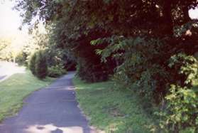 Stay on the wide path along Bennington Woods Rd after it crosses Trails Edge Lane.