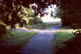 Turn left at the first asphalt trail intersection to walk around the south  side of the pond.