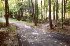 Do not take a sharp right onto the narrow trail leading to the steps.