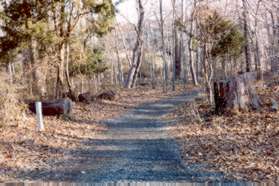 The trail curves around the hill as it nears Colvin Run.