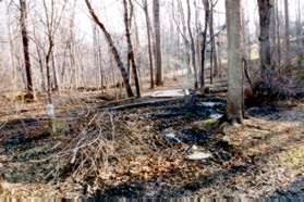 There is a muddy section prior to a small creek crossing.