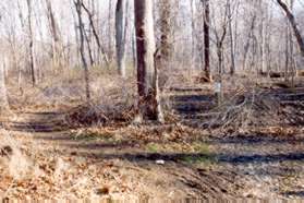 A bypass trail to the left will take you around the muddy section.