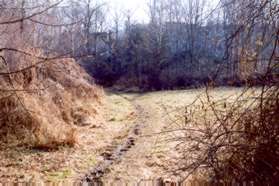 The trail crosses a short meadow.