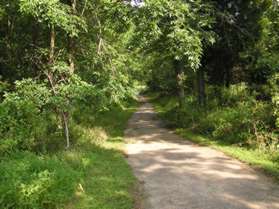 The trail follows Browns Mill Road for a short distance.