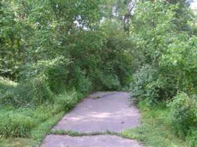 The trail heads away from Browns Mill Road and follows the stream on the right.