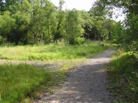 A wide asphalt trail intersects from the left.  Continue straight on the present trail.