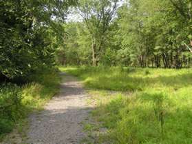 The dirt trail turns to the right and widens into a gravel trail.  A trail intersects from the right.  Go straight on the current trail.