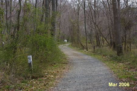 The path is wide with a gravel surface here.