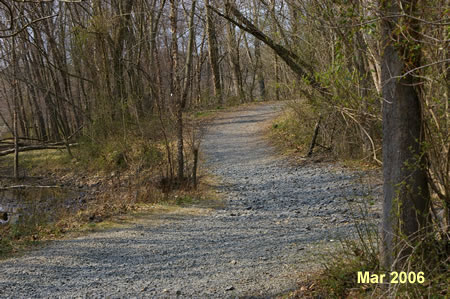 The path is wide with a gravel surface here.