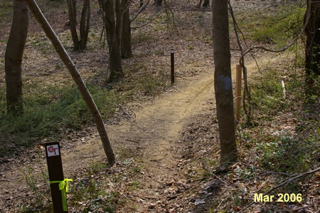 After a short walk down the hill the trail rejoins the horse trail. Turn right onto that trail.