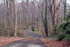 Cross Old Trail Dr and continue along the wide asphalt path down the hill.