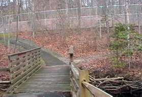 After crossing the stream turn right and follow the natural surface path around the back of the tennis courts.