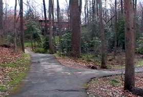 A wide asphalt trail intersects from the right.  Stay straight on the present trail.